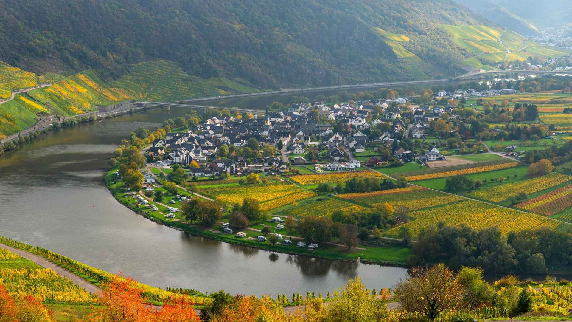 Mosel vinrejser i Tyskland