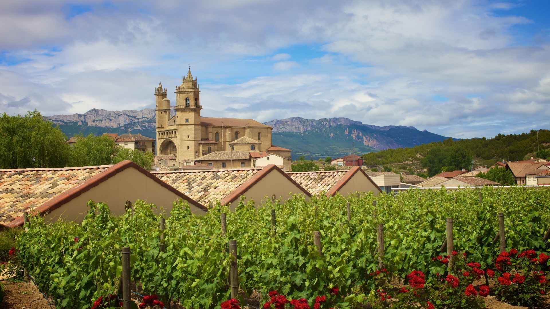 Spanien vinrejser, Rioja