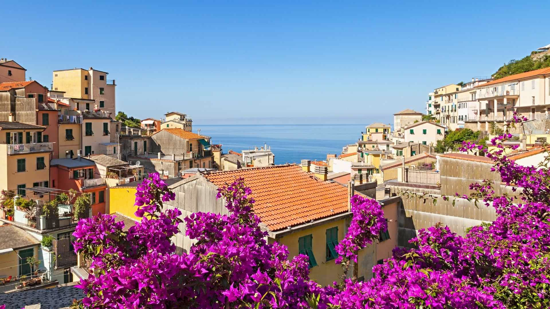Sådan rejser du til Corniglia