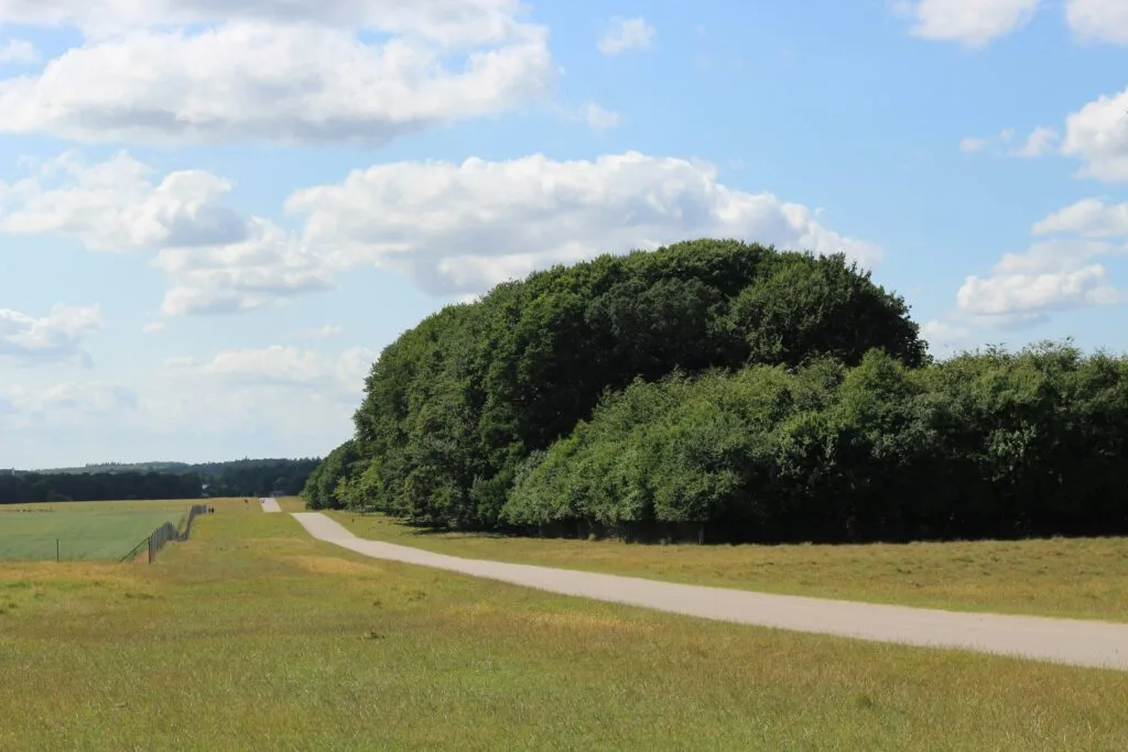 Efterårsstemning i Dyrehaven ved Skanderborg