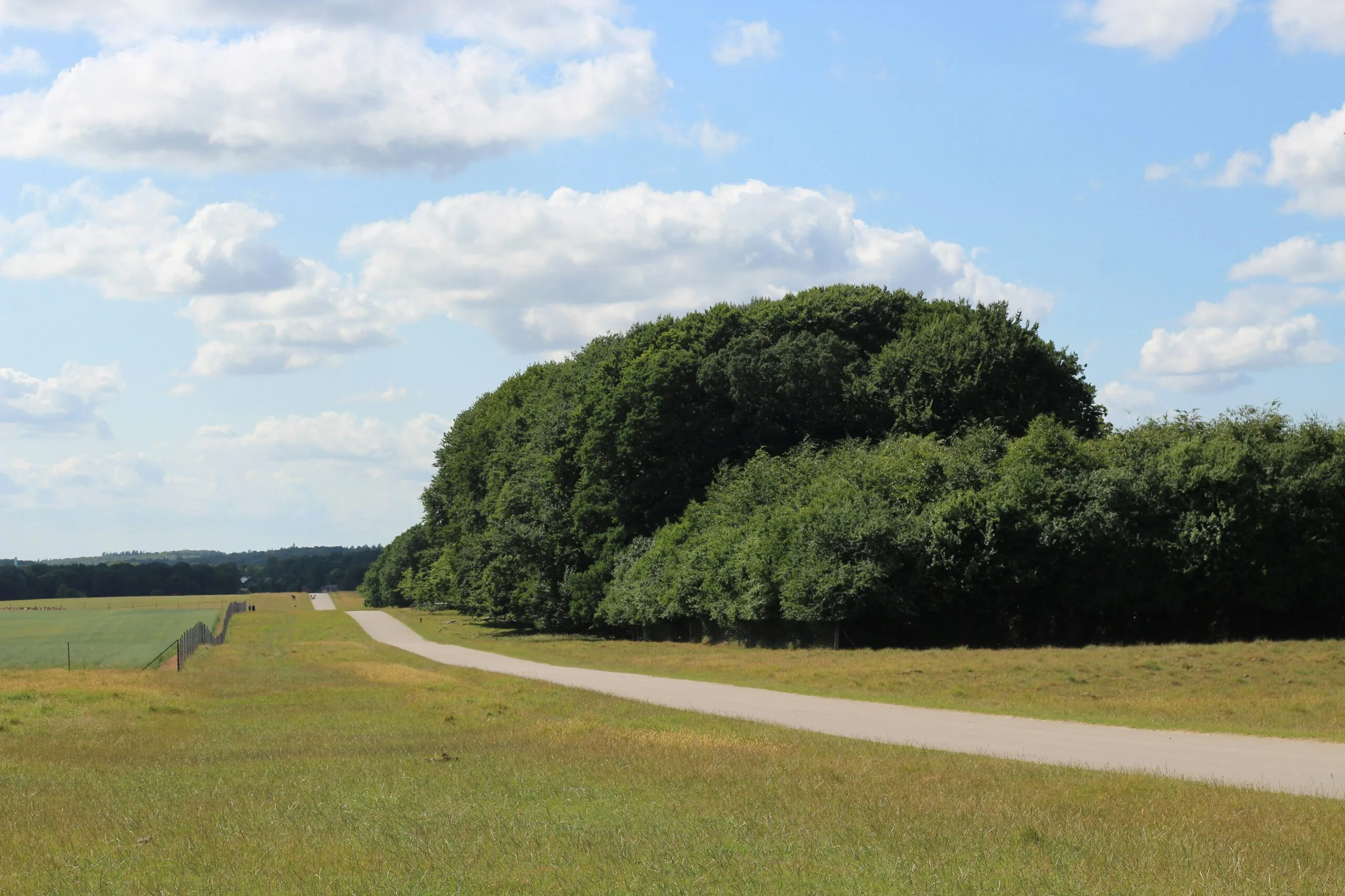 Efterårsstemning i Dyrehaven ved Skanderborg