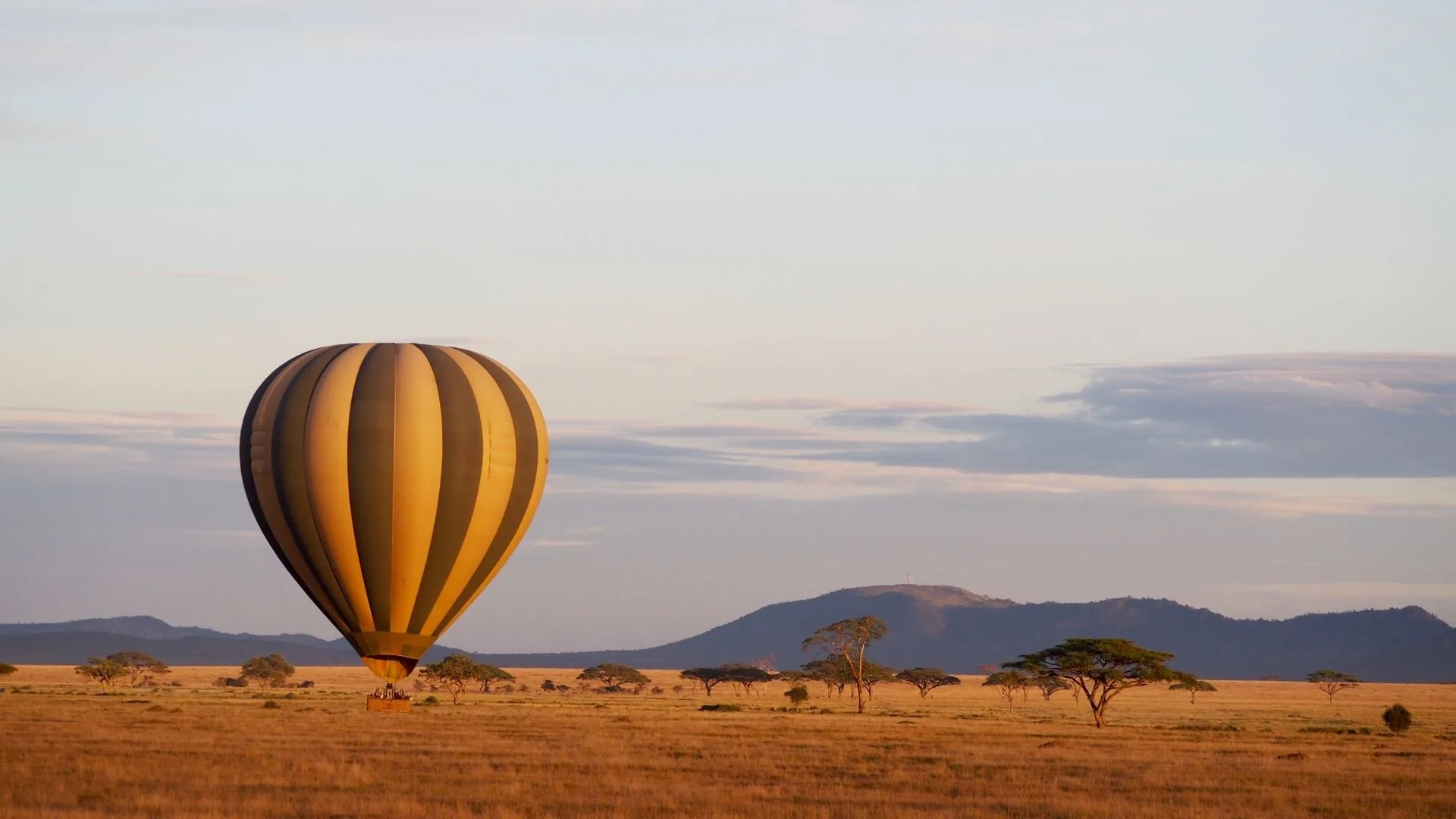 Hvornår på året skal man rejse til Serengeti på safari