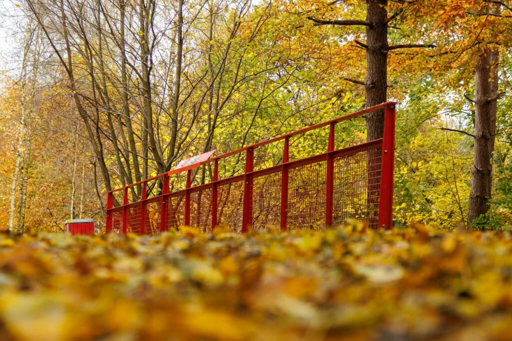 Naturrejser i Danmark — Efterår, skov ved Kolding Danmark, foto Eva Christensen