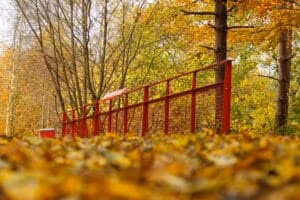 Naturrejser i Danmark