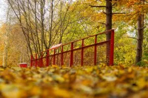 Naturrejser i Danmark