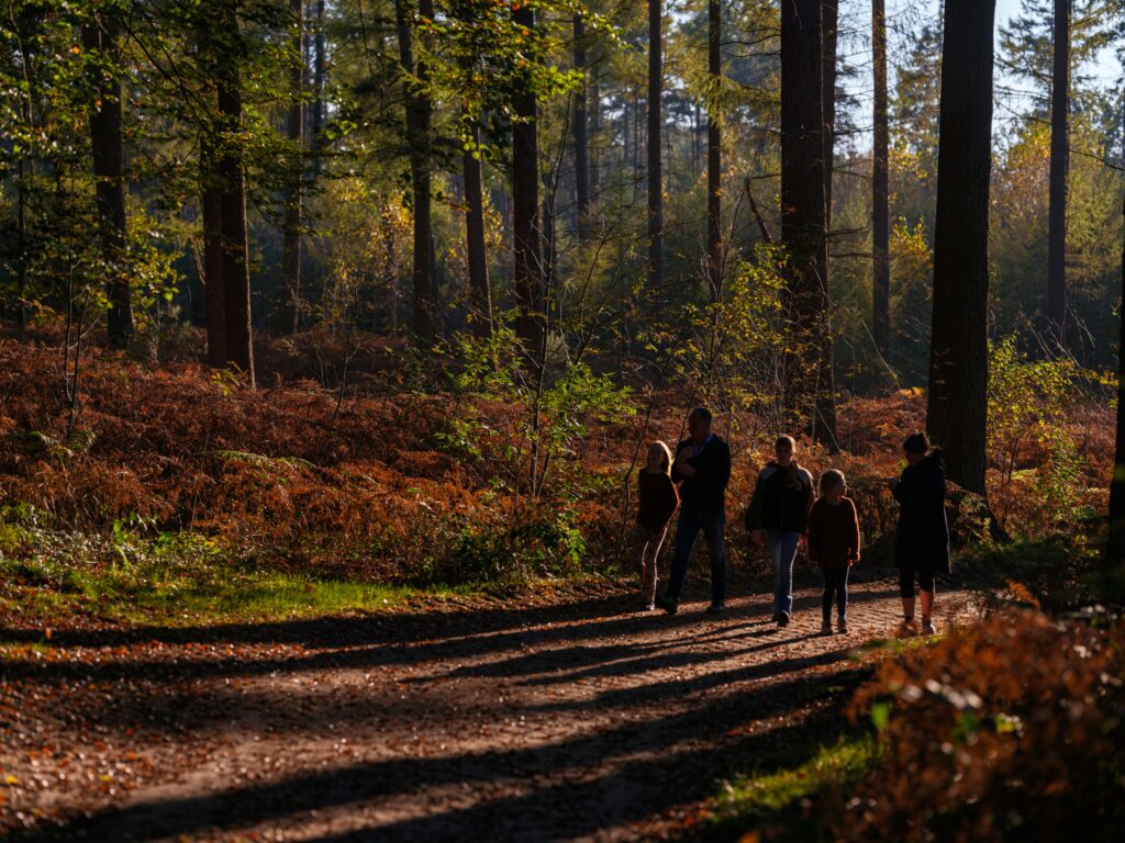Familie på skovtur i efteråret, solen sender lysstråler gennem skoven