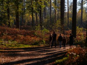 Familie på skovtur i efteråret, solen sender lysstråler gennem skoven