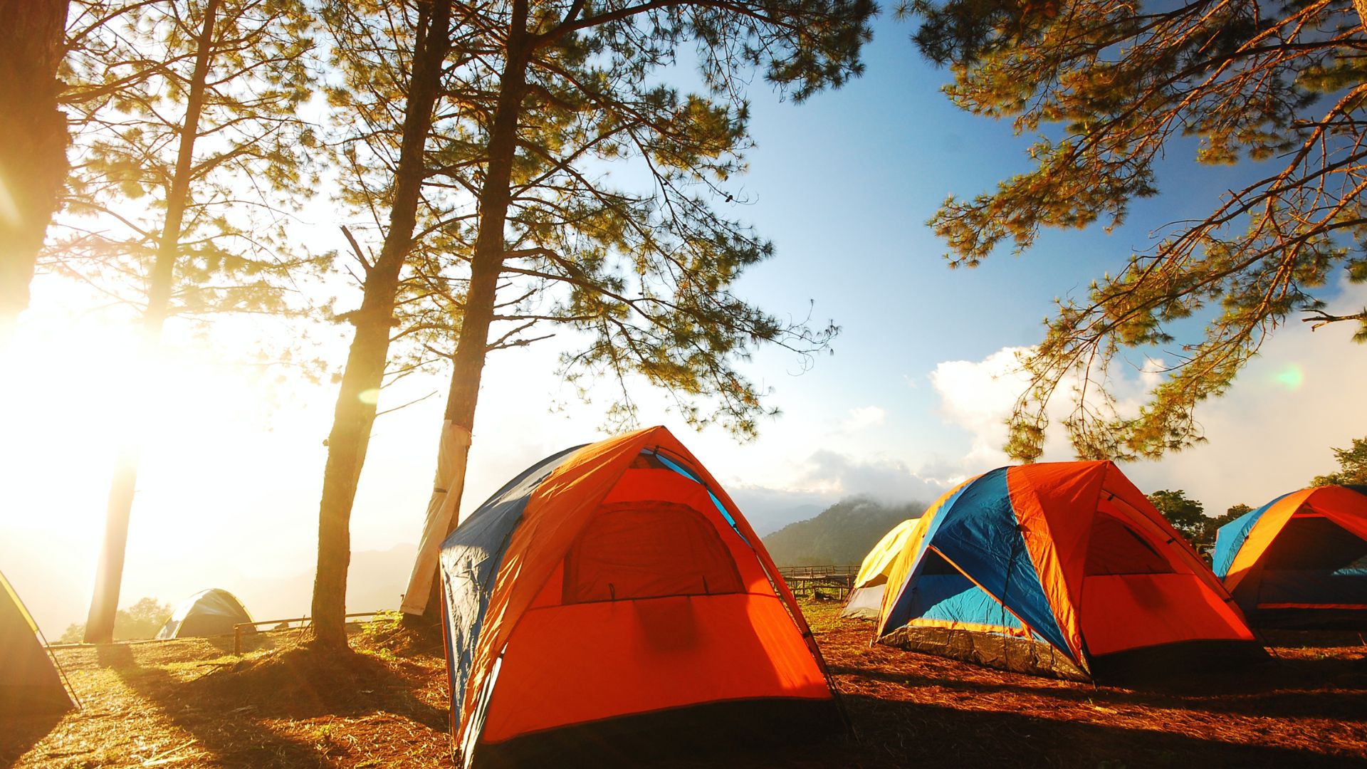 Telt på campingferie i naturen ved solnedgang