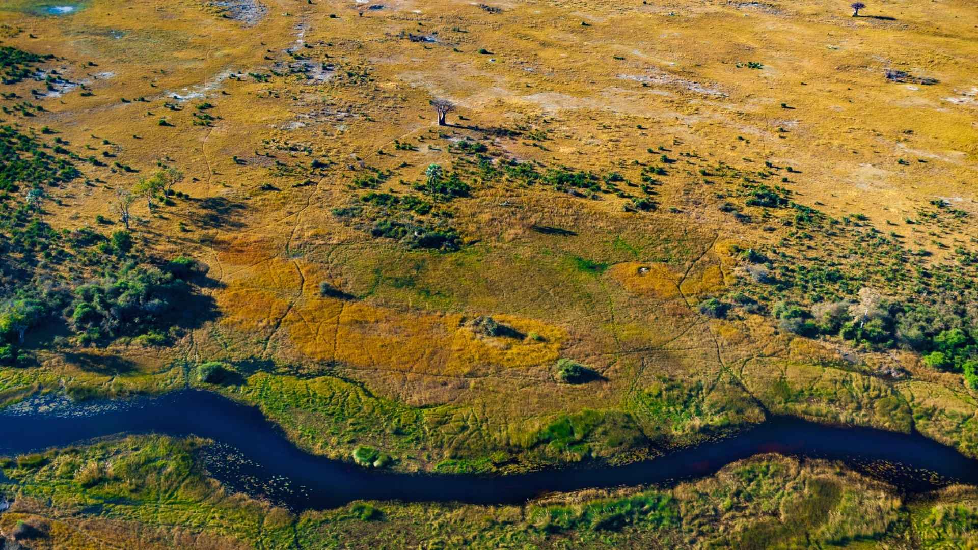 Luftfoto af Okavango-deltaet med kanaler, øer og vådområder i Botswana