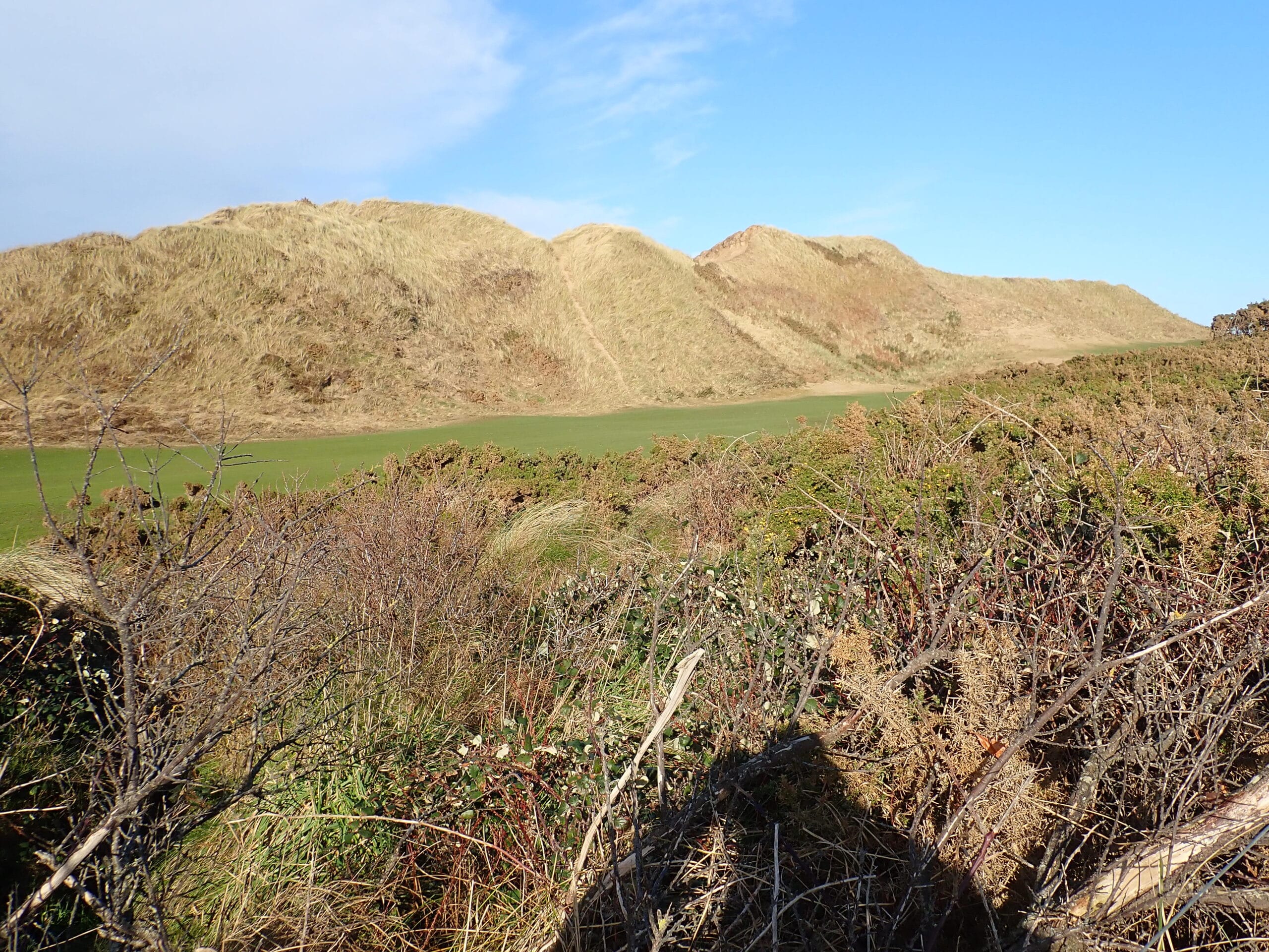 Royal County Down golfbane under Mourne-bjergene