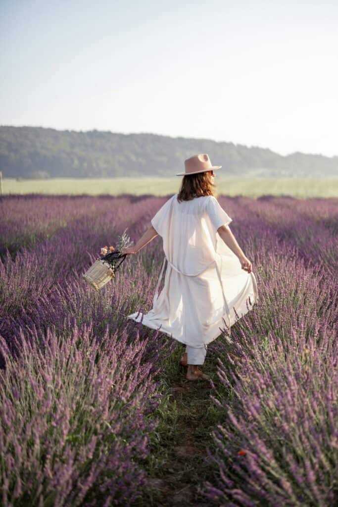 Provence badet i lavendler