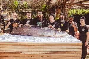 tigerfiskeri på Zambezi-floden. Gruppe med stor fisk ved bordet, Big game fishing