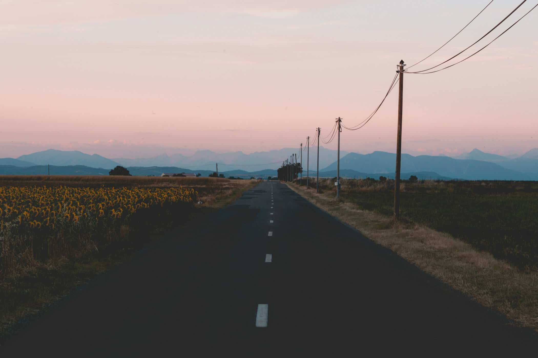Smal landevej mellem blomstrende lavendelmarker på Plateau de Valensole i Provence. Foto: Unsplash / Artur Aldyrkhanov.