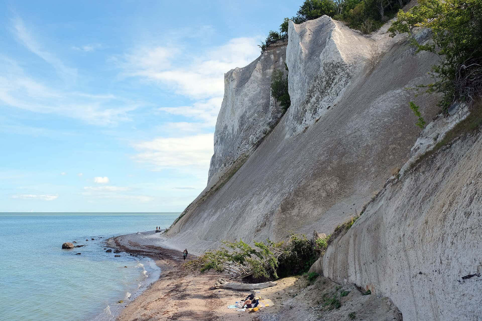 Møns Klint (moens klint) rejser sig hvidt over stranden ved Østersøen
