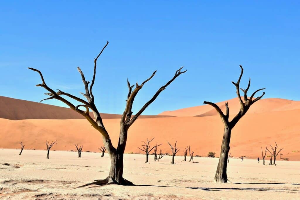 Sandklitter i ørkenen i Namibia