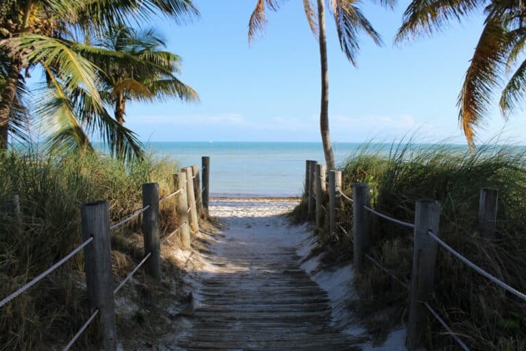 Ernest Hemingway. Smathers Beach, South Roosevelt Boulevard, Key West, FL, USA Unsplash